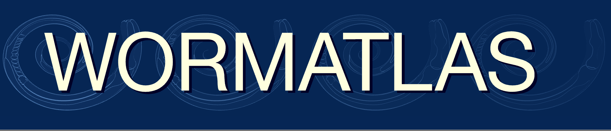 wormatlas